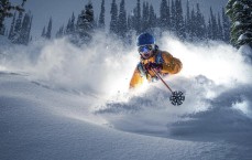 足彩竞猜：范佩西公开批评廷贝尔比赛态度，坚决将其调整至替补席位