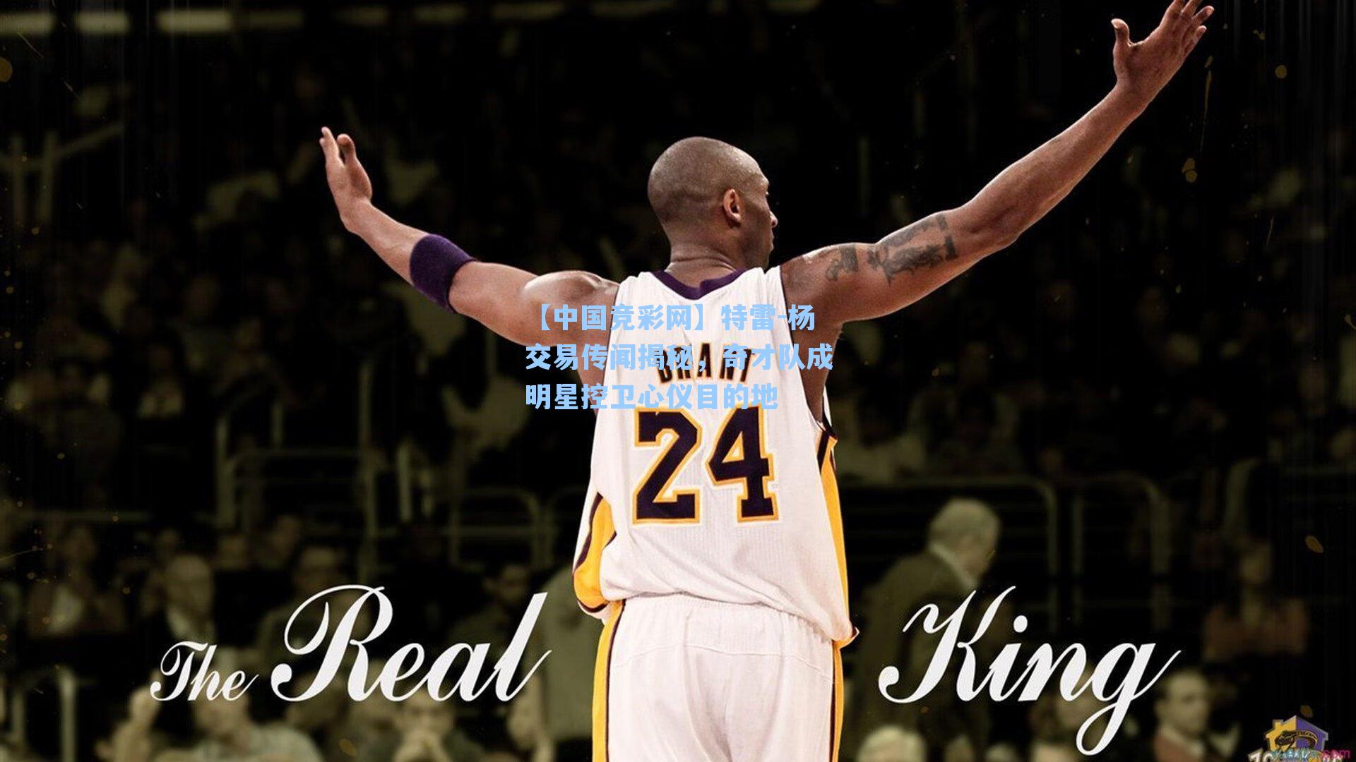 特雷-杨交易传闻揭秘,奇才队成明星控卫心仪目的地